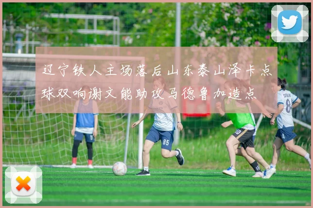 辽宁铁人主场落后山东泰山泽卡点球双响谢文能助攻马德鲁加造点